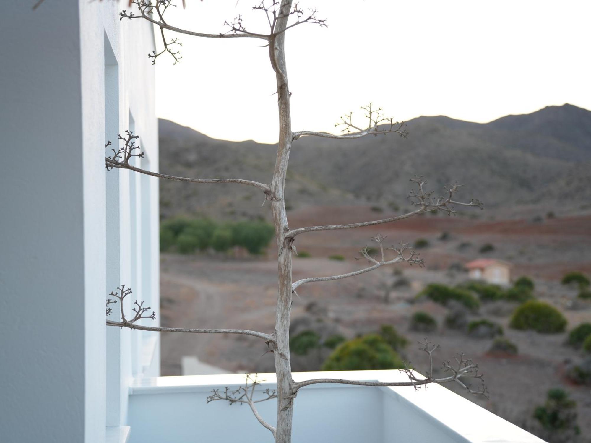 Senses Villa San José Buitenkant foto